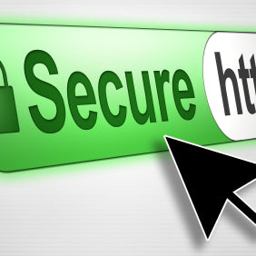Have you noticed our website is Secure